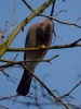 Filename=128_fotowilga~51.JPG
Filesize=247KB
Dimensions=525x700
Date added=Mar 31, 2018 128_fotowilga~51.JPG