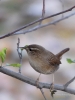 Filename=128_fotowilga~55.JPG
Filesize=288KB
Dimensions=525x700
Date added=Nov 25, 2018 128_fotowilga~55.JPG