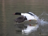 Filename=128_fotowilga~56.JPG
Filesize=252KB
Dimensions=700x525
Date added=Mar 11, 2019 128_fotowilga~56.JPG