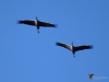 Filename=128_fotowilga~60.JPG
Filesize=185KB
Dimensions=700x525
Date added=Feb 02, 2019 128_fotowilga~60.JPG