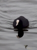 Filename=128_fotowilga~61.JPG
Filesize=196KB
Dimensions=525x700
Date added=May 08, 2019 128_fotowilga~61.JPG