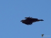 Filename=128_fotowilga~62.JPG
Filesize=204KB
Dimensions=700x525
Date added=May 24, 2019 128_fotowilga~62.JPG