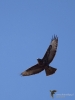 Filename=128_fotowilga~64.JPG
Filesize=209KB
Dimensions=525x700
Date added=Jun 24, 2019 128_fotowilga~64.JPG
