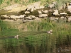 Filename=128_fotowilga~66.JPG
Filesize=367KB
Dimensions=700x525
Date added=Dec 16, 2019 128_fotowilga~66.JPG