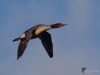 Filename=129_fotowilga~48.JPG
Filesize=172KB
Dimensions=700x525
Date added=Feb 23, 2018 129_fotowilga~48.JPG
