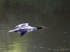 Filename=129_fotowilga~53.JPG
Filesize=195KB
Dimensions=700x525
Date added=Oct 26, 2018 129_fotowilga~53.JPG