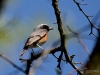 Filename=129_fotowilga~54.JPG
Filesize=237KB
Dimensions=700x525
Date added=Oct 28, 2018 129_fotowilga~54.JPG