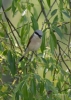 Filename=129_fotowilga~57.JPG
Filesize=281KB
Dimensions=499x700
Date added=Feb 04, 2019 129_fotowilga~57.JPG