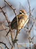 Filename=130_fotowilga~16.JPG
Filesize=84KB
Dimensions=360x480
Date added=Mar 16, 2015 130_fotowilga~16.JPG