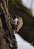 Filename=130_fotowilga~17.JPG
Filesize=70KB
Dimensions=336x480
Date added=Apr 26, 2015 130_fotowilga~17.JPG
