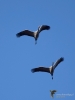 Filename=130_fotowilga~59.JPG
Filesize=182KB
Dimensions=525x700
Date added=Jan 30, 2019 130_fotowilga~59.JPG