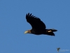 Filename=130_fotowilga~69.JPG
Filesize=195KB
Dimensions=700x525
Date added=Dec 18, 2019 130_fotowilga~69.JPG