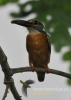 Filename=133_fotowilga~31.JPG
Filesize=65KB
Dimensions=343x480
Date added=Apr 28, 2016 133_fotowilga~31.JPG
