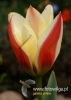 Filename=133_fotowilga~32.JPG
Filesize=59KB
Dimensions=343x480
Date added=May 14, 2016 133_fotowilga~32.JPG