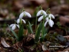 Filename=133_fotowilga~43.JPG
Filesize=90KB
Dimensions=640x480
Date added=Mar 07, 2017 133_fotowilga~43.JPG