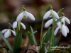 Filename=134_fotowilga~30.JPG
Filesize=74KB
Dimensions=640x480
Date added=Mar 07, 2017 134_fotowilga~30.JPG