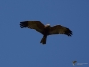 Filename=134_fotowilga~33.JPG
Filesize=154KB
Dimensions=700x525
Date added=May 15, 2017 134_fotowilga~33.JPG