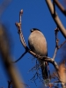 Filename=134_fotowilga~47.JPG
Filesize=242KB
Dimensions=525x700
Date added=Jun 26, 2018 134_fotowilga~47.JPG