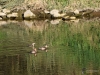 Filename=134_fotowilga~59.JPG
Filesize=381KB
Dimensions=700x525
Date added=Nov 19, 2019 134_fotowilga~59.JPG