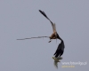 Filename=136_fotowilga~28.JPG
Filesize=41KB
Dimensions=600x480
Date added=Jun 06, 2016 136_fotowilga~28.JPG
