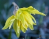 Filename=136_fotowilga~38.JPG
Filesize=236KB
Dimensions=699x561
Date added=Apr 14, 2017 136_fotowilga~38.JPG