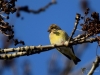 Filename=136_fotowilga~52.JPG
Filesize=261KB
Dimensions=700x525
Date added=Jan 06, 2018 136_fotowilga~52.JPG