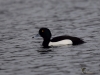 Filename=136_fotowilga~64.JPG
Filesize=213KB
Dimensions=700x525
Date added=May 16, 2019 136_fotowilga~64.JPG