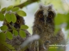 Filename=137_fotowilga~37.JPG
Filesize=79KB
Dimensions=640x475
Date added=Nov 10, 2016 137_fotowilga~37.JPG