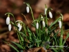 Filename=137_fotowilga~41.JPG
Filesize=92KB
Dimensions=640x480
Date added=Mar 09, 2017 137_fotowilga~41.JPG