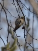 Filename=137_fotowilga~56.JPG
Filesize=222KB
Dimensions=525x700
Date added=Feb 09, 2018 137_fotowilga~56.JPG