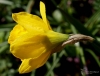 Filename=138_fotowilga~40.JPG
Filesize=221KB
Dimensions=699x534
Date added=Apr 14, 2017 138_fotowilga~40.JPG