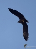 Filename=138_fotowilga~56.JPG
Filesize=213KB
Dimensions=525x700
Date added=Jan 03, 2019 138_fotowilga~56.JPG