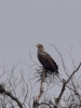 Filename=138_fotowilga~62.JPG
Filesize=212KB
Dimensions=525x700
Date added=May 21, 2019 138_fotowilga~62.JPG
