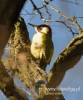 Filename=139_fotowilga~20.JPG
Filesize=90KB
Dimensions=400x480
Date added=Feb 10, 2016 139_fotowilga~20.JPG