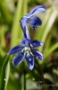 Filename=139_fotowilga~34.JPG
Filesize=196KB
Dimensions=456x700
Date added=Apr 15, 2017 139_fotowilga~34.JPG