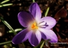 Filename=139_fotowilga~5.JPG
Filesize=113KB
Dimensions=720x508
Date added=May 18, 2014 139_fotowilga~5.JPG