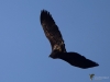 Filename=139_fotowilga~53.JPG
Filesize=215KB
Dimensions=700x525
Date added=Jan 02, 2019 139_fotowilga~53.JPG