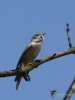 Filename=139_fotowilga~56.JPG
Filesize=178KB
Dimensions=525x700
Date added=Feb 27, 2019 139_fotowilga~56.JPG