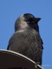 Filename=139_fotowilga~60.JPG
Filesize=231KB
Dimensions=525x700
Date added=May 14, 2019 139_fotowilga~60.JPG