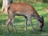 Filename=139_fotowilga~63.JPG
Filesize=354KB
Dimensions=700x525
Date added=Oct 11, 2019 139_fotowilga~63.JPG