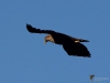 Filename=139_fotowilga~65.JPG
Filesize=223KB
Dimensions=700x525
Date added=Dec 30, 2019 139_fotowilga~65.JPG