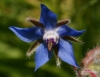 Filename=139_fotowilga~8.JPG
Filesize=151KB
Dimensions=987x768
Date added=Sep 13, 2014 139_fotowilga~8.JPG