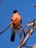 Filename=140_fotowilga~51.JPG
Filesize=217KB
Dimensions=525x700
Date added=Oct 19, 2018 140_fotowilga~51.JPG