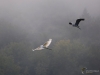 Filename=140_fotowilga~61.JPG
Filesize=183KB
Dimensions=700x525
Date added=Nov 17, 2019 140_fotowilga~61.JPG