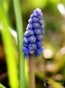Filename=142_fotowilga~40.JPG
Filesize=222KB
Dimensions=521x700
Date added=Apr 15, 2017 142_fotowilga~40.JPG