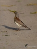 Filename=142_fotowilga~55.JPG
Filesize=238KB
Dimensions=525x700
Date added=Feb 14, 2018 142_fotowilga~55.JPG