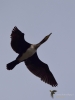 Filename=142_fotowilga~63.JPG
Filesize=169KB
Dimensions=525x700
Date added=Apr 17, 2019 142_fotowilga~63.JPG