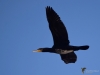 Filename=142_fotowilga~66.JPG
Filesize=176KB
Dimensions=700x525
Date added=May 29, 2019 142_fotowilga~66.JPG