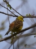 Filename=142_fotowilga~67.JPG
Filesize=230KB
Dimensions=525x700
Date added=Jun 28, 2019 142_fotowilga~67.JPG
