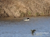 143_fotowilga~24.JPG